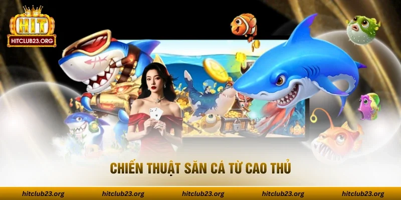 Chiến thuật săn cá từ cao thủ