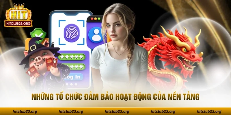 Những tổ chức đảm bảo hoạt động của nền tảng